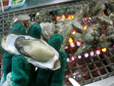 DSCN7826.jpg?type=w2