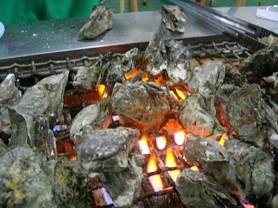 DSCN7825.jpg?type=w2