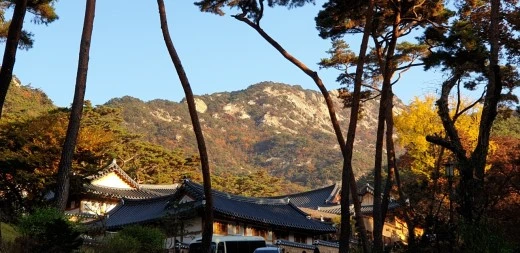 e_7biUd018svcbc9q3tnictde_sshekk.jpg?type=w520