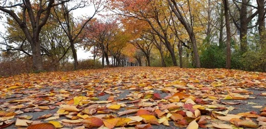 6_f38Ud018svc13c46erm7orgd_sshekk.jpg?type=w520