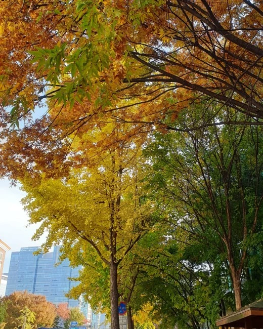 b_80fUd018svcc7q9tbvgd6zo_sshekk.jpg?type=w520