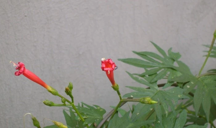 mug_obj_146339748080311953.jpg?type=w1080