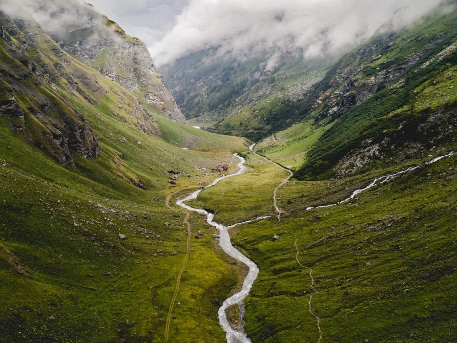 SE-99ca0558-f016-4f47-8681-3597d2dcbc18.jpg?type=w1