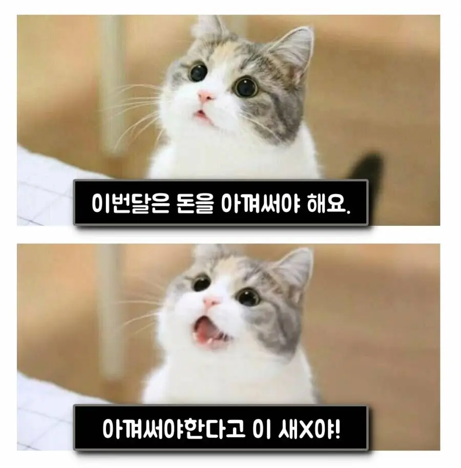 d2f4b86c07f036e1.jpg?type=w1