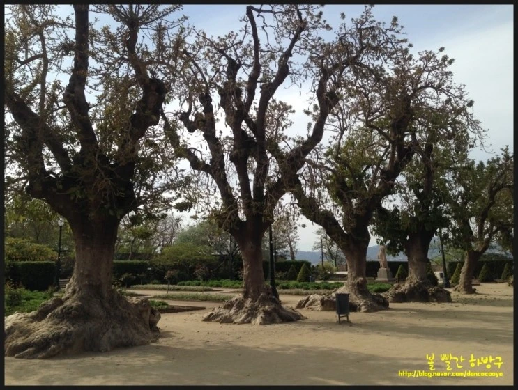 P20150418_233801336_FB0065A5-C136-4B56-9808-9F8527ADC68F.JPG?type=w2