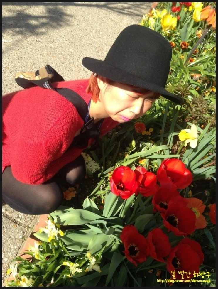 P20150415_180813386_A7C18ACD-CC02-4B43-9102-D05E77440E25.JPG?type=w2