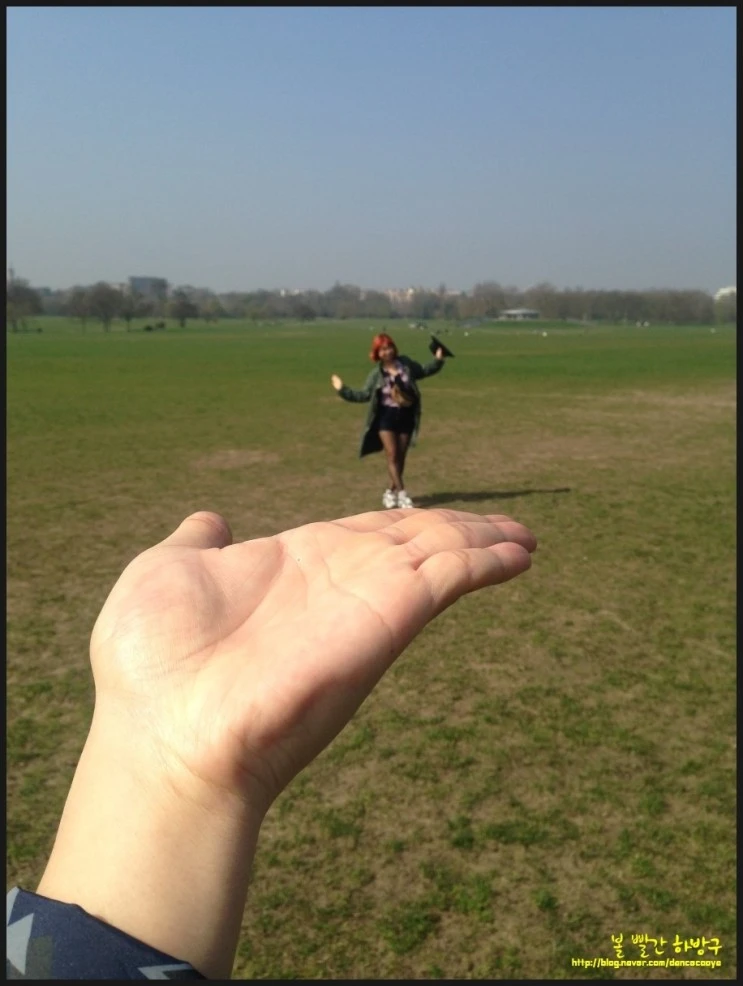 P20150409_113319489_B9818A88-52B9-48A3-B6B2-A48E35039213.JPG?type=w2