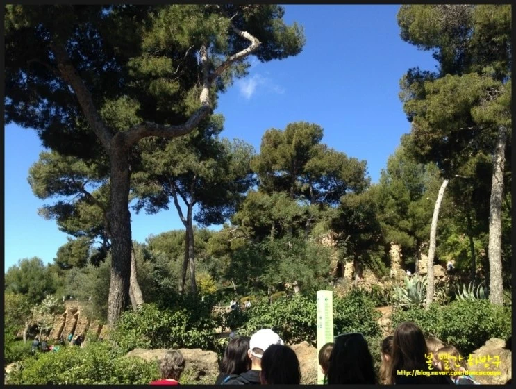 P20150419_181015746_4D2AED2D-285E-4FED-8209-AA613734831E.JPG?type=w2