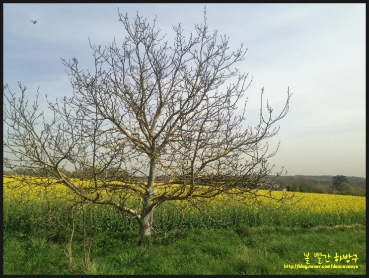 P20150415_213253406_85F8632E-DE57-4E60-A615-61076C6C3CEA.JPG?type=w2