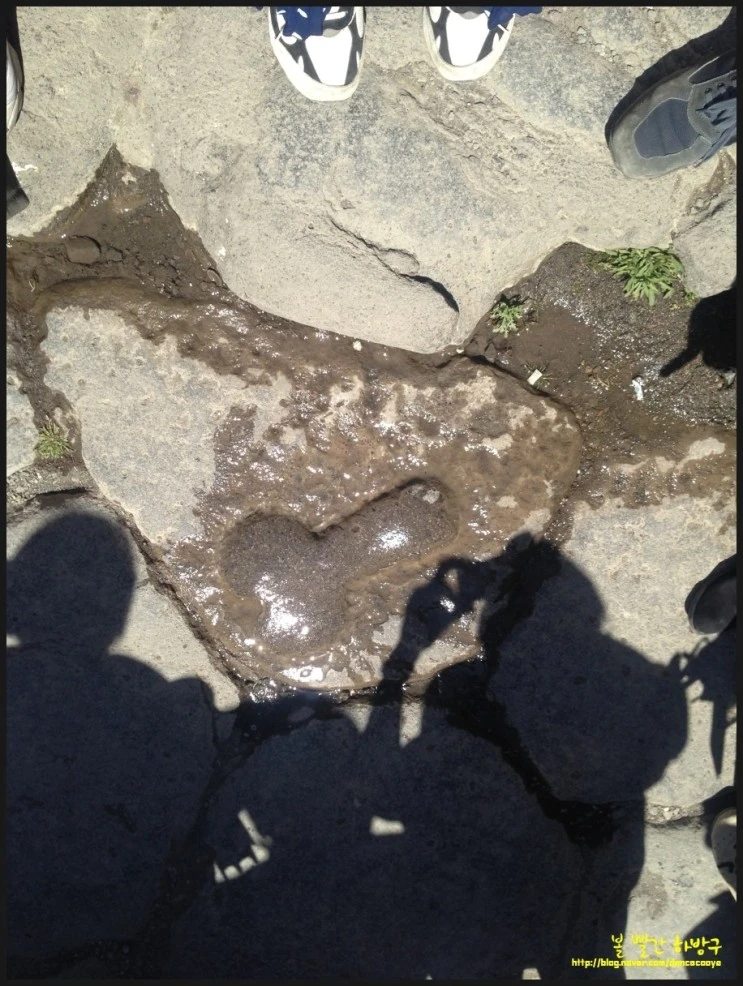 P20150422_185546102_5A3CFF10-F880-46B2-B38C-A9D32B9759E0.JPG?type=w2