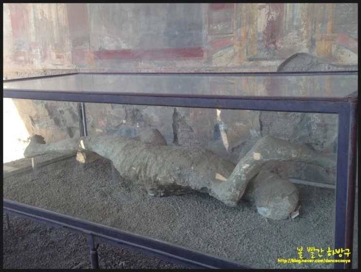 P20150422_183649817_BBADF392-13A3-4B11-83B1-8D6891FBED38.JPG?type=w2