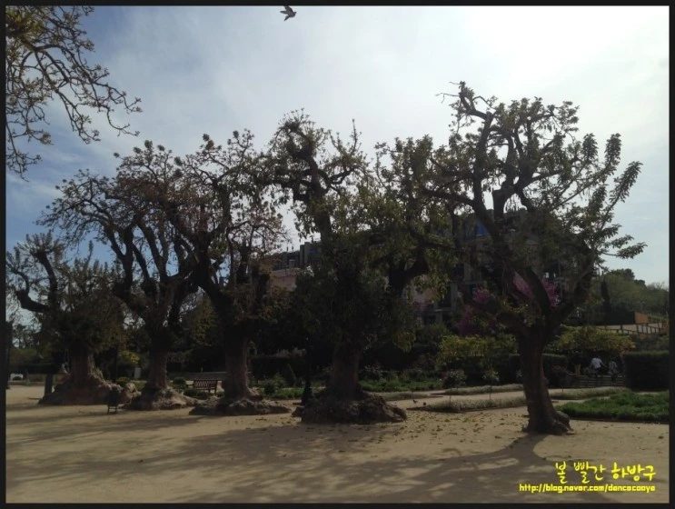 P20150418_233452127_F86A1992-2C84-499F-9AE4-B6DAE8FE0298.JPG?type=w2