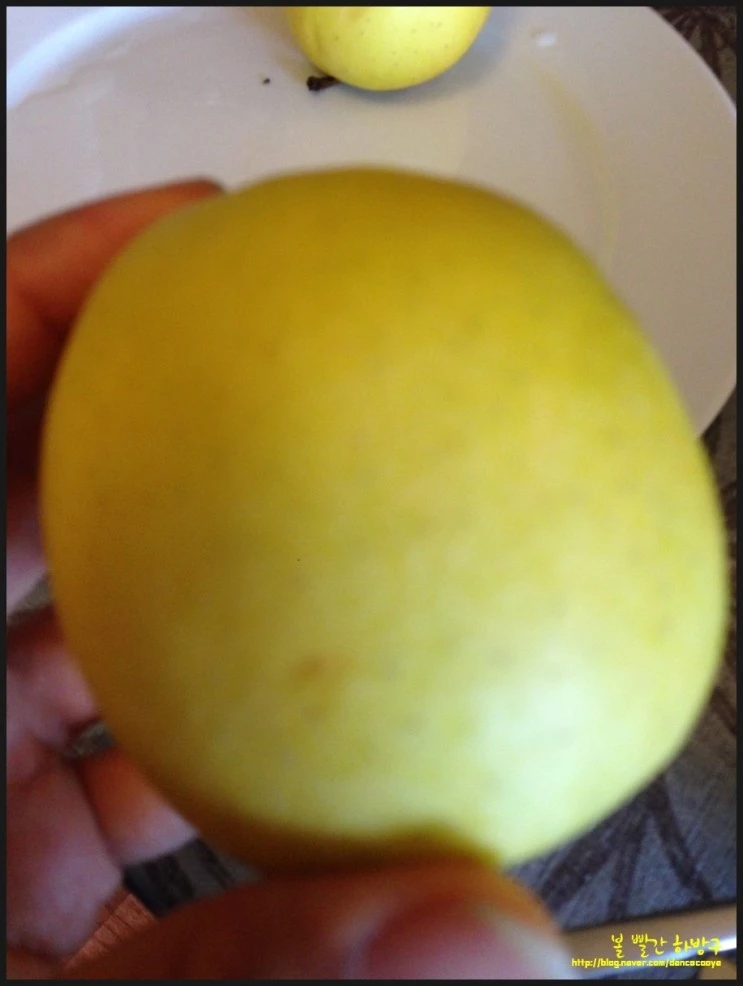 P20150419_160747490_869D3D73-DFEF-4559-8E0C-BD7555240486.JPG?type=w2