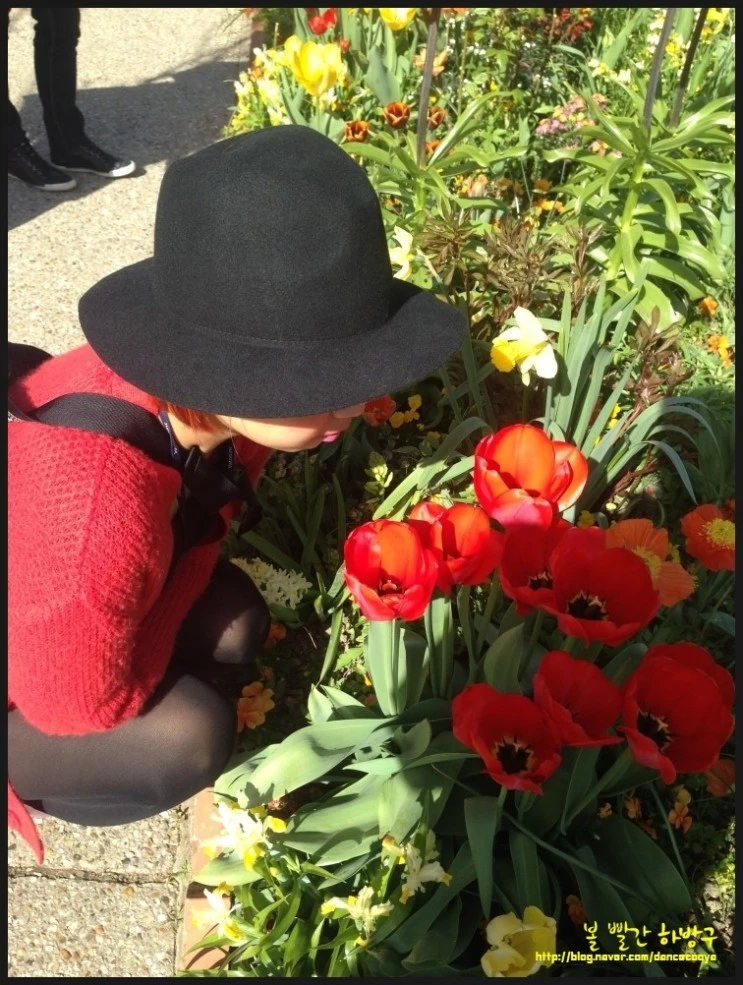 P20150415_180804821_8990F872-D439-451B-AEB4-372B74482C8E.JPG?type=w2