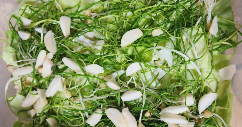 SE-8bc89107-1ecf-4b43-8a7d-631f133a2337.jpg?type=w800