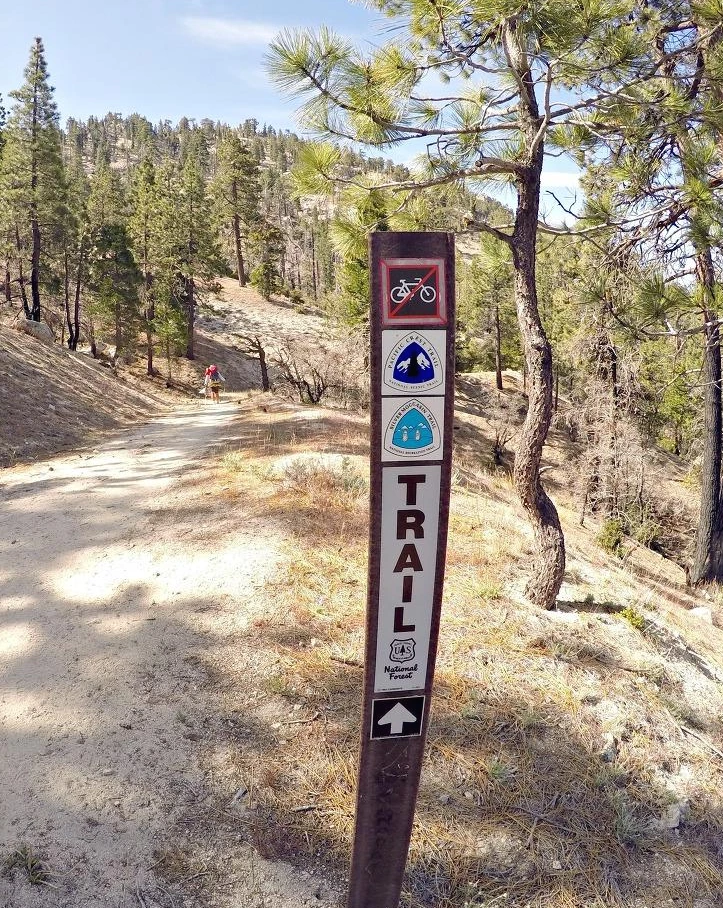 캘리포니아남부 (30).JPG