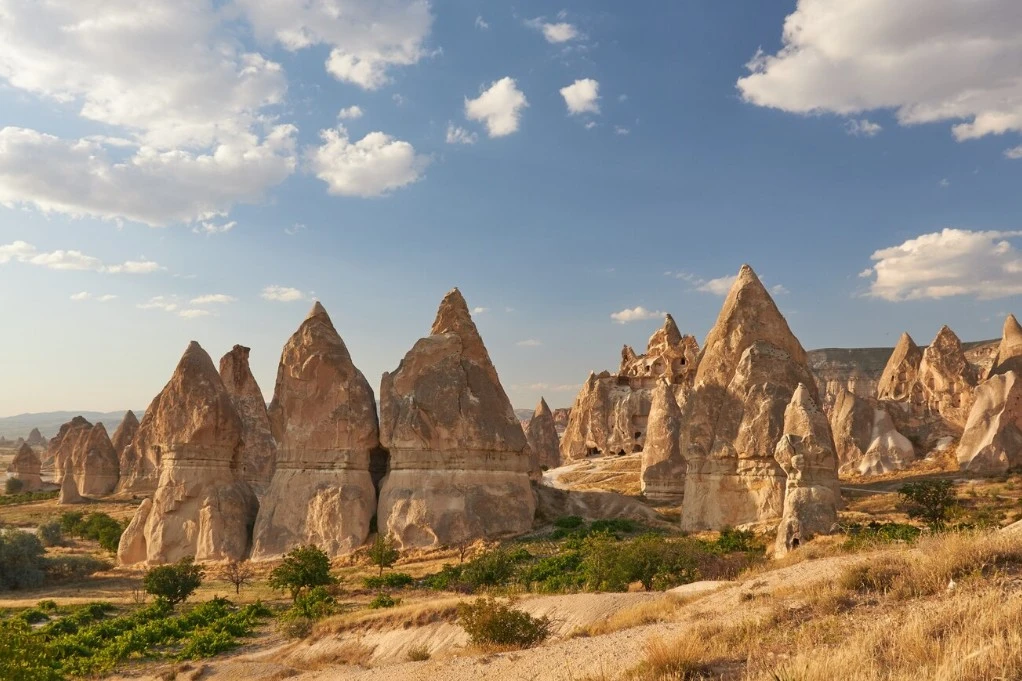 Screenshot 2025-07-29 at 17.02.10.JPG