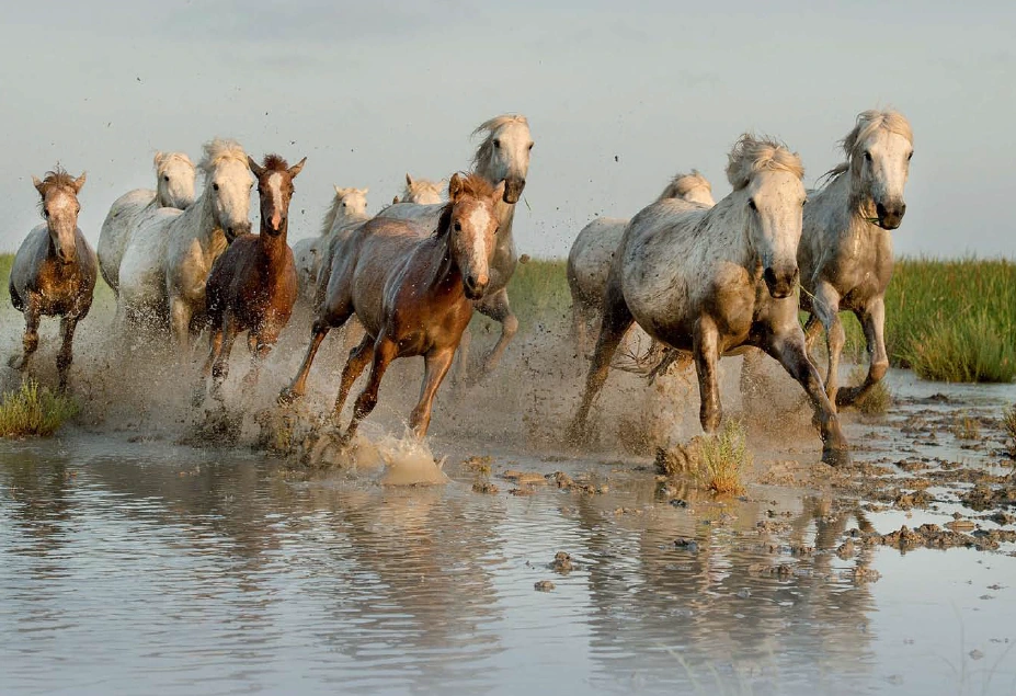 2016-04-25_21%3B49%3B39.PNG?type=w966