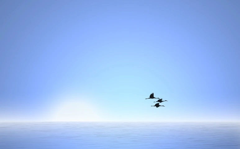 20160916_174812.png?type=w773