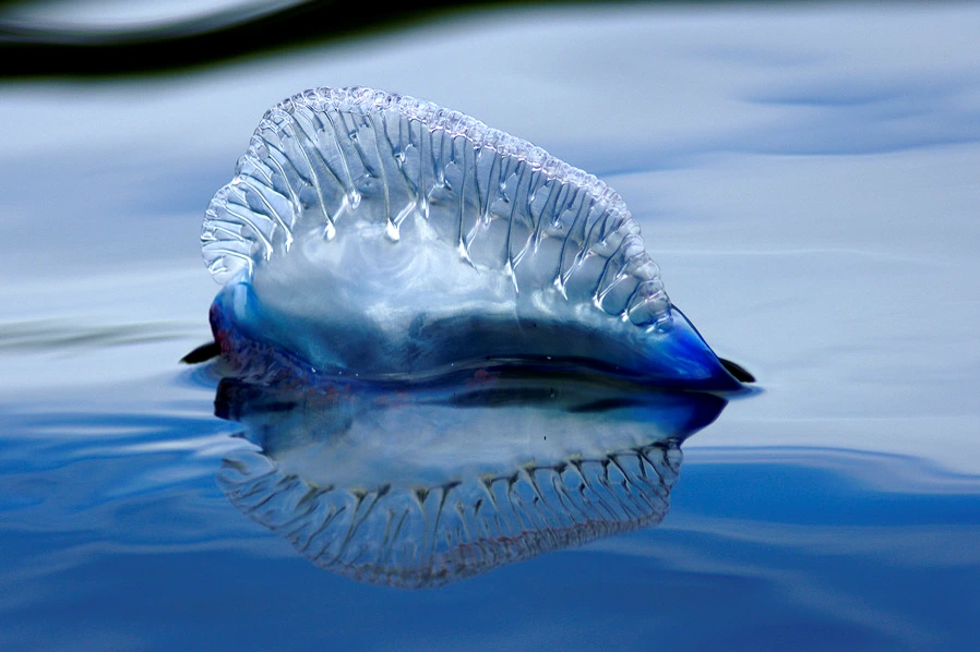 2016-04-25_22%3B21%3B12.PNG?type=w966