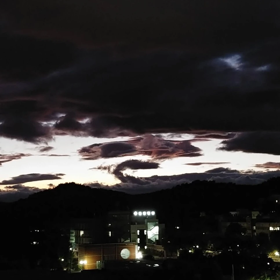 IMG_20190820_081854_913.jpg?type=w966