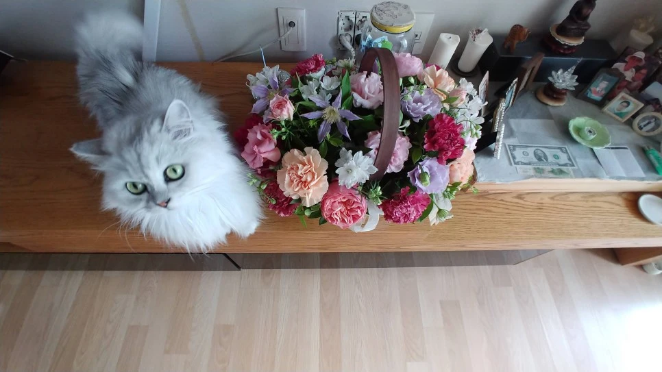 20190515_105055.jpg?type=w966