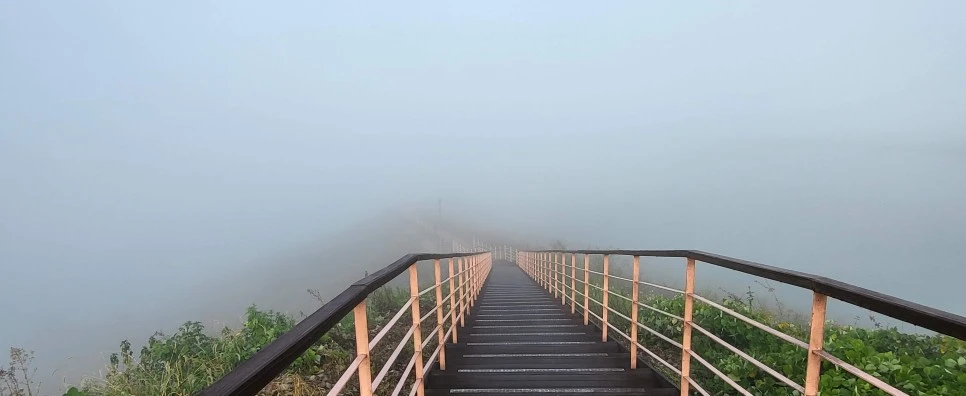 20221016_080517.jpg?type=w966