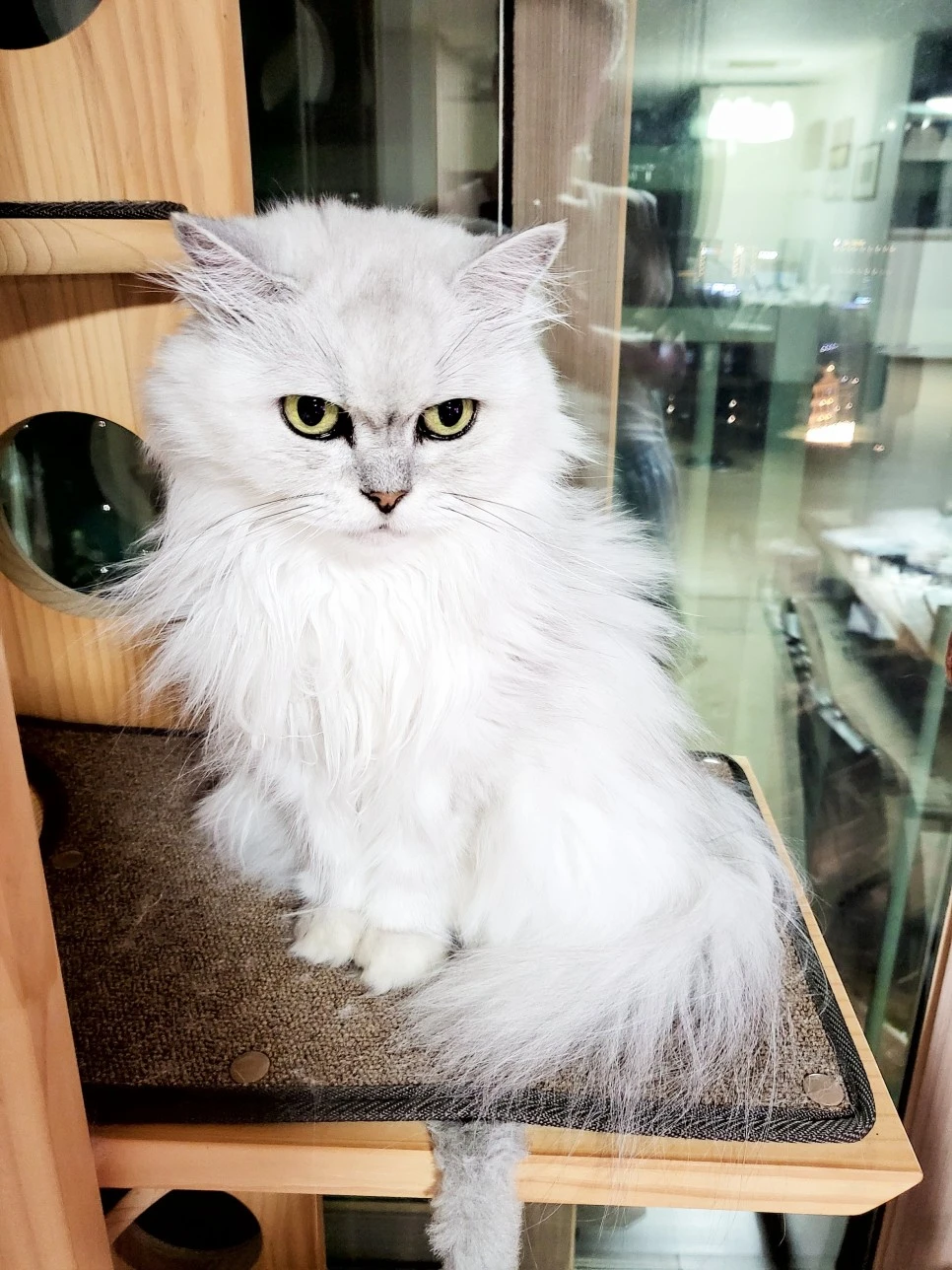 20210826_215018_01_(1).jpg?type=w966