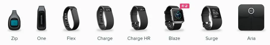 핏빗.JPG