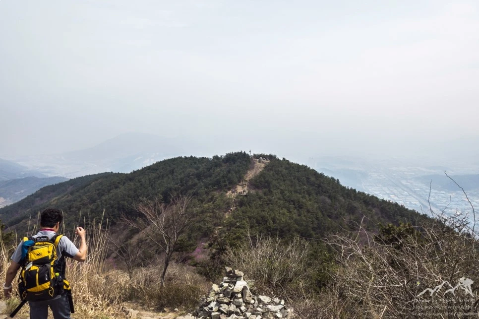 11DSC00280.jpg?type=w966