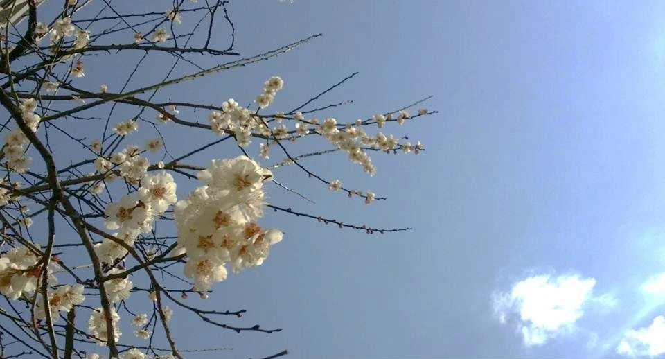 미디어 커뮤니케이션학과 20120537 서동균 (2).JPG