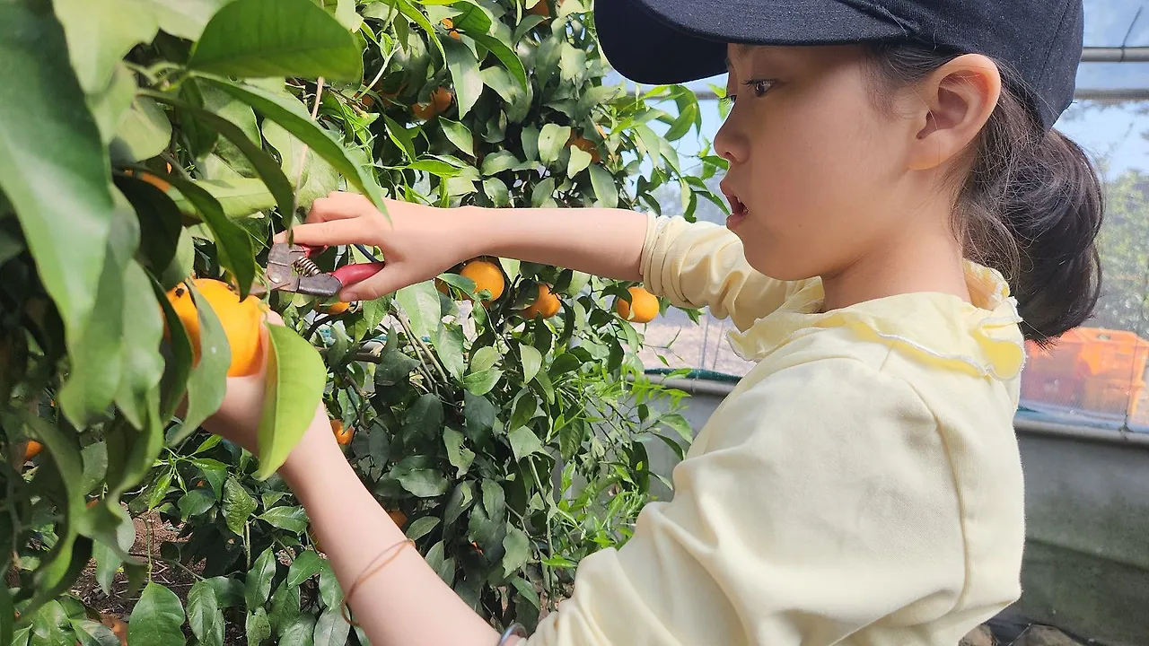 https%3A%2F%2Fcafeptthumb-phinf.pstatic.net%2FMjAyNTA2MTRfMTky%2FMDAxNzQ5ODY1Nzk2OTk3.D7EFzMKnK95yz0-Y_fYy-ATu0BVGbwojn_6Q6jK-dQYg.5mZkAsEB_NFU-LiPk7G1s3sjQmIGZAmMpSpbKxo-YSAg.JPEG%2F20250502_154908.jpg%3Ftype%3Dw1600?table=block&id=21dd58f0-7063-807c-99f4-da5c0af1d680&spaceId=65da5d67-5fcb-40d8-9dc0-29af8bafa67b&width=2000&userId=&cache=v2