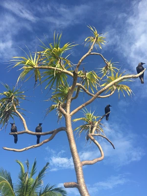 SE-ee669c7b-772c-4a25-bb2f-20e903bbc333.jpg?type=w773