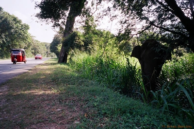 SE-5c584757-2ddd-4645-bbd5-307232c451ba.jpg?type=w773