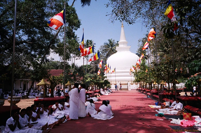 26070035.jpg?type=w773