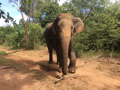 SE-71a9e842-e3cf-4b5c-a6df-b84e69151def.jpg?type=w773