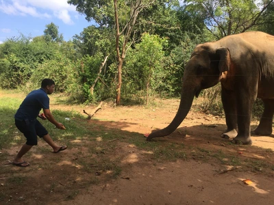 SE-677d24f8-59e1-4831-aaaf-ff064364e26f.jpg?type=w773