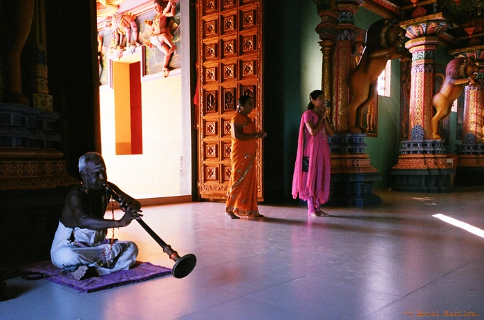 26120033.jpg?type=w773