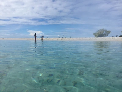 SE-b015f7a4-329d-4afc-b5c3-9d780f7a72bb.jpg?type=w773