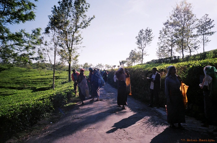 26050013.jpg?type=w773