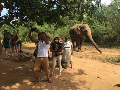 SE-34bb0f32-7822-42f8-a2bc-0a1d440350b4.jpg?type=w773