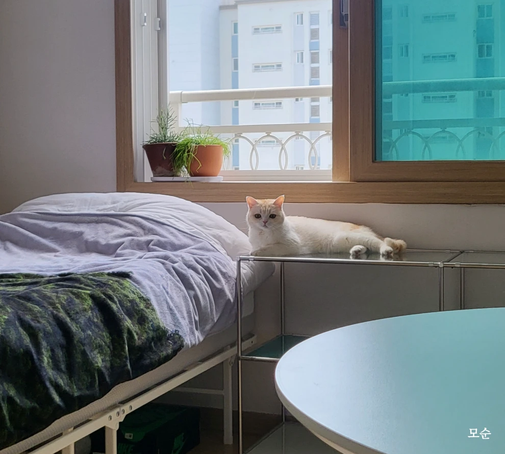 KakaoTalk_Photo_2023-09-10-21-40-39 003.jpeg