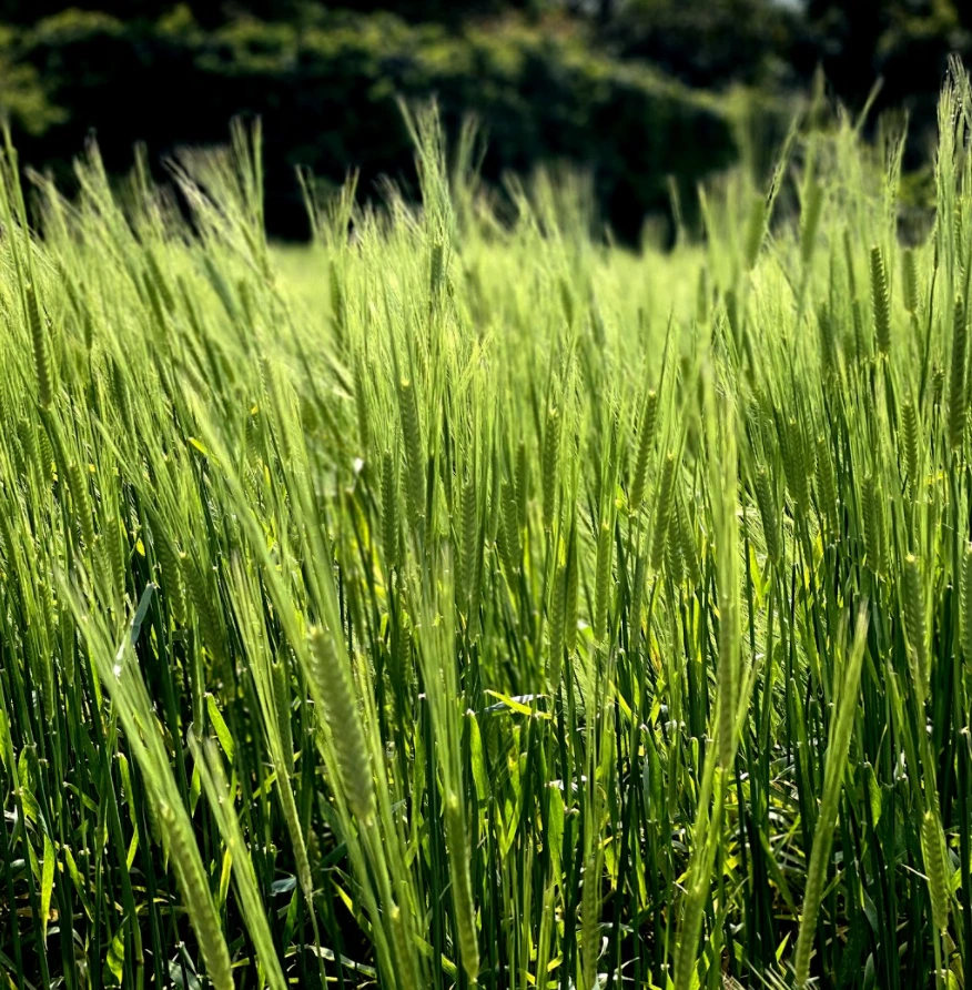 sQgpb1uH3_sbYrjnx_psHO--NfW2Z-0zh7ReZE69ybkN6574zrJFTLBJmJVyq1GJjVfbQ1ePU5CTAWShfTYUUv4HpLWZVLACLeXtWuDw44_ezbsruSOsWNKZXzUoO2p6DwhZIukp