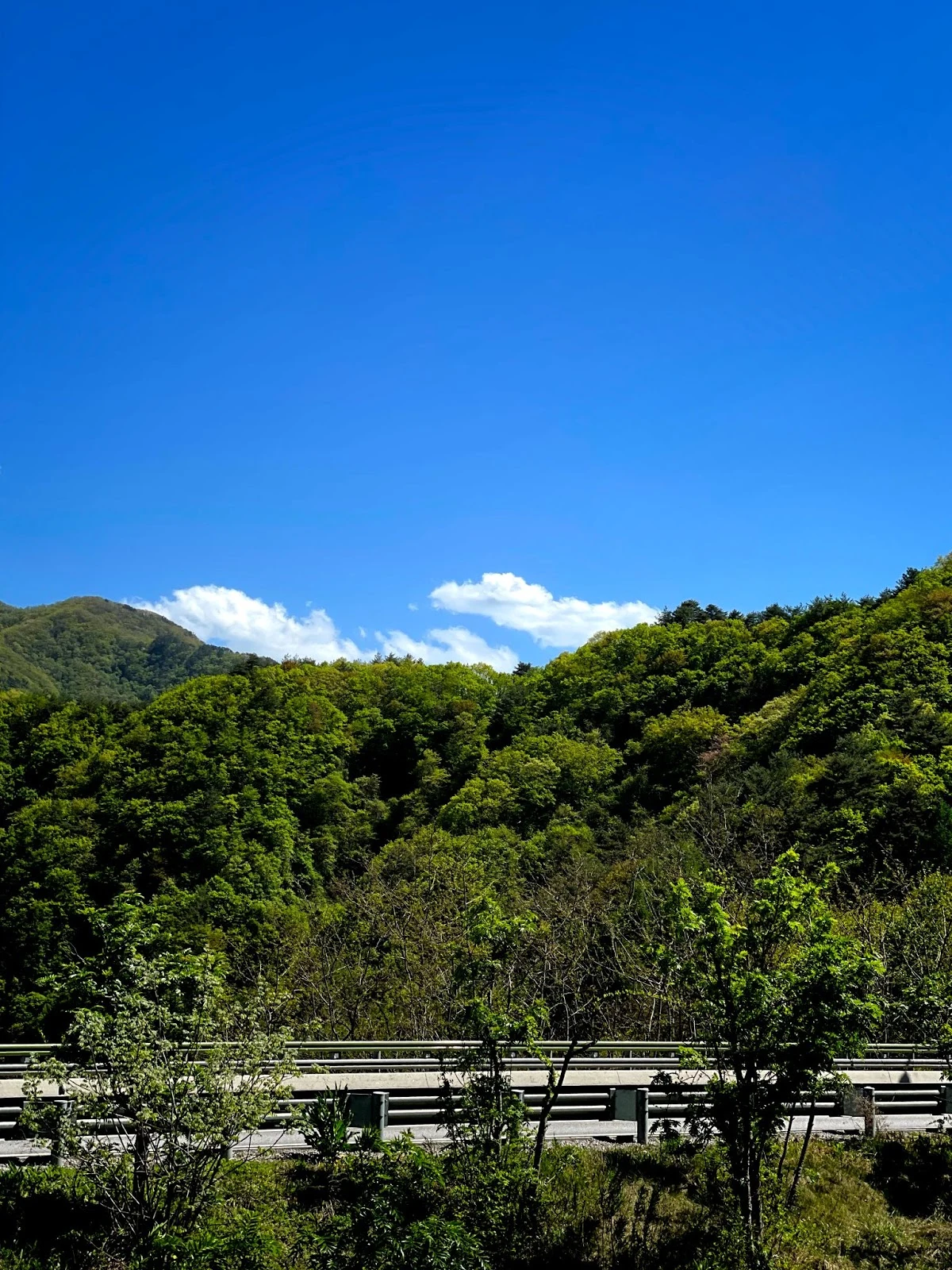 ix0ZGA9cDQnZihevaBtuI8Y9aXKzrZpBsSAQZ3r65BQoASZjA-zp9iOiA0CC73qbL3rqYm-YEMuBbT719mca2dfPlAiImDsGpuwmWh4sSYGHITKS16bFH-MdymWDQSVHgPE1QKlU