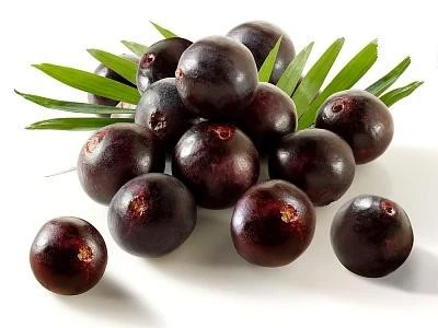 acai berry3.jpeg