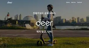 디어 이미지.jpeg