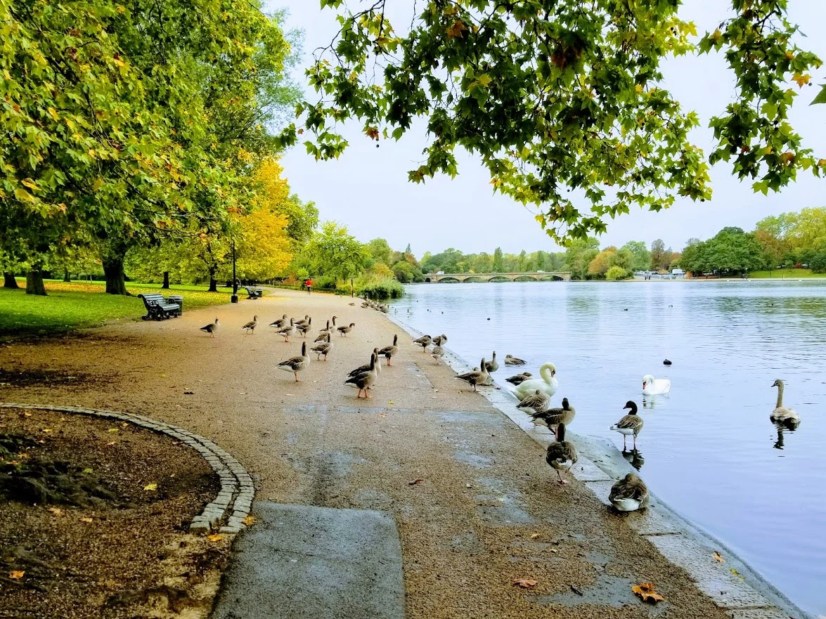 2czH7oUlA35JyXBJ6BQxg7c5-T1t8Ix9YBb5PlEFogDhWrYc76FgTunradDXFEvaiYxRxVqRXo8H9CiOQ2FQGNa0-yLjVa4UykIUTsihxxb2cszgC5jGGi72Nh4ULP7bJ4_0YHrq5bleZo-e72OXjoikvzTn-CyUkNk5UrPt6md1w595QGk5Sp62vHTHqLUGovngUbb-okCMCxXx9WFv0LMmk31GgSx865EopHtop8R1VG43V_IhPFNPqEr5vizvIpMGceQfyug3oYgXMbkLzyYCBE2eWQrdmqqE_QNDIMj8wLk19876XhF3z5EQTpfBuyV93-7KGpWH84XN_LF84A-oyXiMt3PUTth6B3-p5OklbZRTcHJDP-IvMkds3WK7YLYMHd1trg8JA9q7HLdPJUn0wFRxTMi3z2xDQS2EJkKZR-SLDvqmyTLrGU3faY9XLjOYpazFzNw0P8fBgtU8jIdjzdWj4qadwGiPysvgItAfQDFuQY9LxZOtInJinReVvczlea9MjL5jNp-gLxO5SUm7jQtmhhV1ma4jkbGJufuPCQ2SQ1BZqvvYC4f03QW43YzVJwyyAxEAOr5wFgQFdGbdUa-vQL5aW24S8rebv5CBHBWMmt6eVbQwv8sGGIBFGanVMetfBiM1ehg24SY06SB2weK2dgEdS64yZXjVfZUmnjSi0s3ywkar-MvtkdM=w1175-h882-no?authuser=0