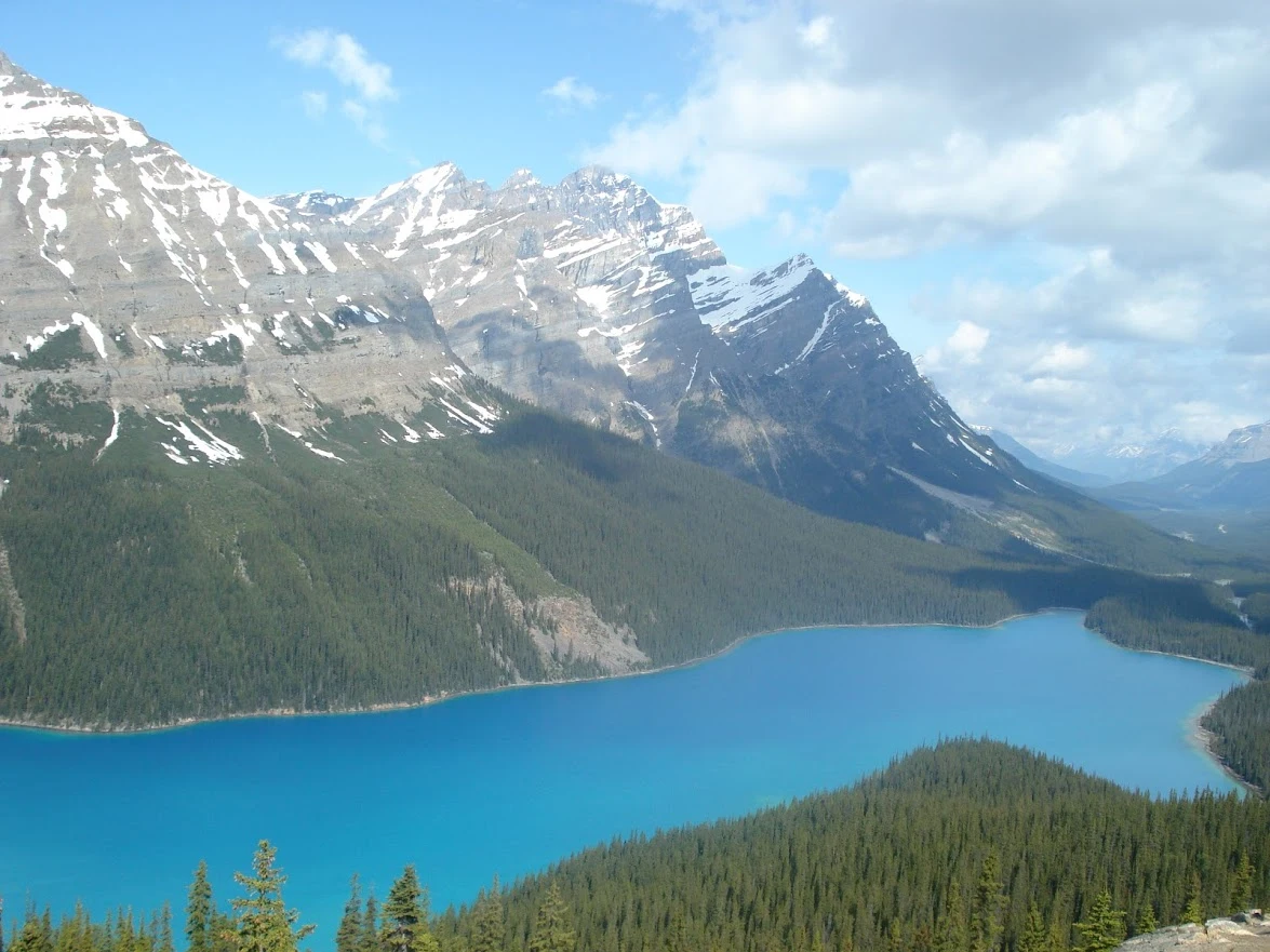 1FzrFwGKUWnhcDWfkEtjuunM7apVpy46fiQrsiofPcMaa1bbO7_Ngu9cpm6zQhw1x5gVq341nRLc9hahVu1xLIU2uQRcxmiTfHsT7CqQLtnlqWVJxbXXbyXrI9r_wbiFEOu1TFpbZEuJEpNdyDuuAC0-PrEz5C5EE8ubCpNB7N7toZXDVhxTWm3Z6Y6owP_UEUDhHXm2wi2I2ljfj_HGQ9deFQO7-NyLIECcgyIaxnOPMYQwTnavDz0M8gVyAxZPRbeTEjr0YecmPZA8xshPg2vlgnBO4ljsaXuBADNGmSuuVNDM7QtOXf7ZpVWOoa_CsGDtkhYrNLMC7wVI9uNEZg5_0r_hnoaDFAMO91fYl0SVs4749GgRelBbTyUGcOxpLjsCSHPb6r5rUGLIK_pRh_RW5t45WN3SnjOW12c6kprsI42y4Pa36SXL80_eY7W8Fp3Io1PdovoRKhapVw4wjNcVpCL8eS-J6ejUnQyDtMzPS_Mao2t5sygrslcLR2G_wC03OlZtL9oj7ksglXk5ey-fkE59OrVV9Apu3okPS53wkPQeUl9IY6bJLiGipH8yLNR0N7XfrAPGtdxtI2gsuP3i9Xisrdh_tUAhXVrz1gJOtJ45pxt9NVd8gCrrNbIjOAA3yl7EO87MflXMu4kg4O-QoICRoGSWU0IsGXEnqPurdD-igQ2zfjGXEualMEs=w1175-h882-no?authuser=0