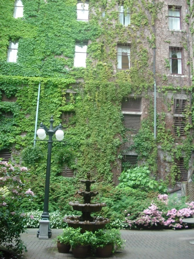 ZIR1EPUNNSxPdQBCzKws4RyDrv0