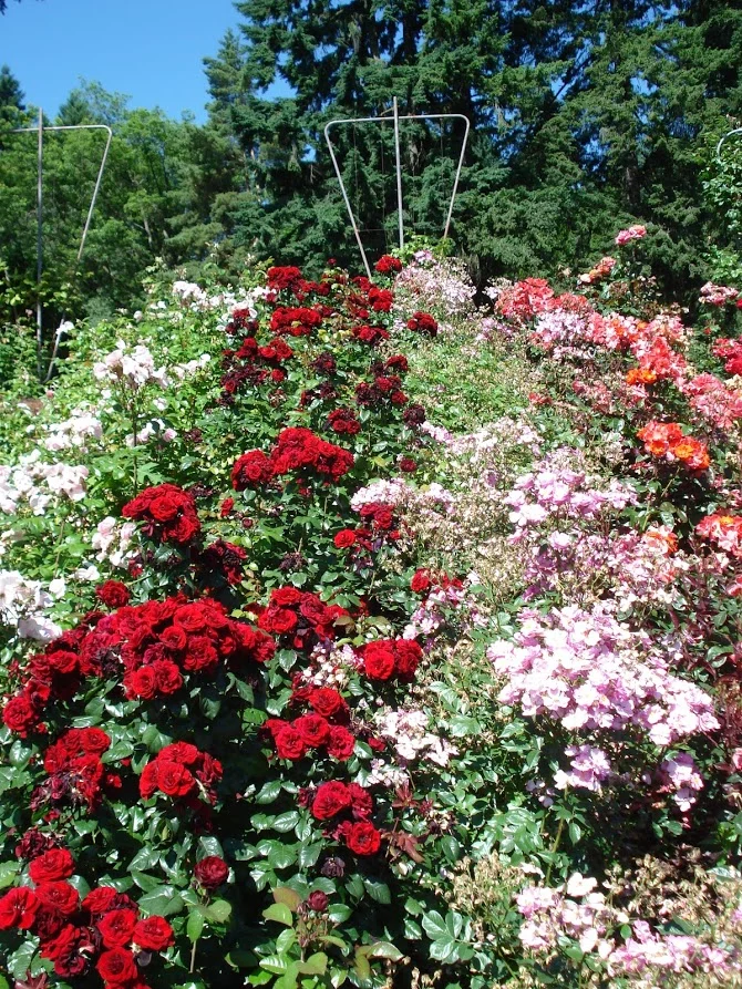 PI50aOPpgIhUwMW8AFWxvrTFWV7h-gfQab23NdVuiy1fcFyH7HzuJYjD4V4Ml_hmO6gAVcaecHuLQbFN_rCOOPn6yMltobbfwZX2UBGSFQKy0di1Bhf4W1gYSNTnAScxKSAY7YYP4xm-7ZSBkt5mSz9-gf7Z5Yqc0NUMIfJ_Vpp4Q7AvVneQm-Elo0LolTohzxi42H5ZoL3vJnAGMHkKvzAMyFR3uXKNhpUNU9HGl8SJ9vH8KP7D-7jiftdAvEqIWt-M3gqQXNl54C1oFJIzHJt3VyxCxLy4ixna5NagiBNw4rfTYp3Hwf3gbCK5p-3c84u4IL7AZV6LK_B9FGKO6iTkaM4JSWzYkMYAhPoCaZsDAOfjX1OwCcEtxbErkwGLZhkaHn8drbSqh7LY4UuWQU6-BlEoTgoC9u6qknrkUmNT1qQ_Or3Z8okn0wXgBa3JXtglKc7BKHis2f9pHOTHjNMOd3ueIT711oRmUTab5P79y7z2EajiZFuqu57ApLfGcGRoFyaFLQ5CjZV3o2CRid8EB9oe9qpkeR8EcgtTwIRqltn8KD_DMRYBvDD8VspdJ1rtOdZUOgrlFklfZoIM2T62opuG8kgYZn_AO3W98dnuzRib8gam9R9o3DGkYTCnWZ7b7G1S9ii6Ll6GWpmtkuTwkU2UMVPRGt6aA1_hApvfHyzIA7kTUFBc7PHwG18=w671-h893-no?authuser=0